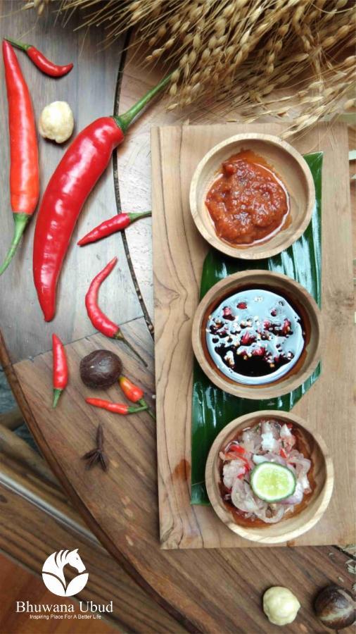 Hotel Bhuwana Hotel&farming Ubud (Bali)
