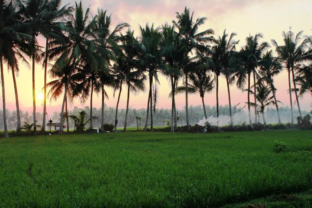Hotel Bhuwana And Farming 4*