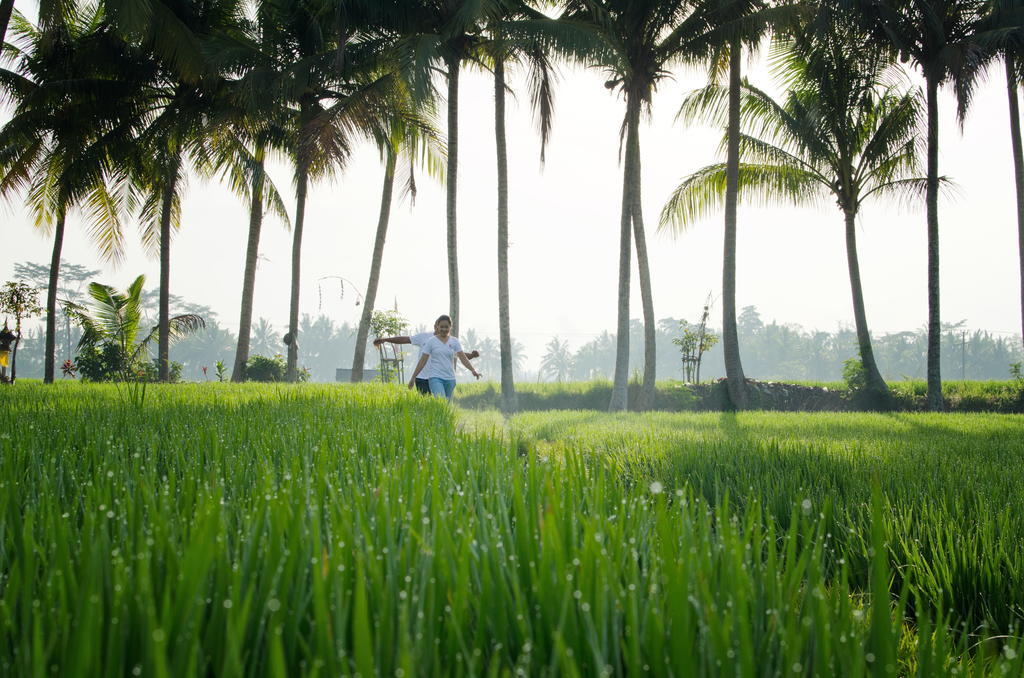 Bhuwana And Farming Hotel